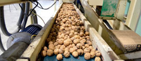 La produzione