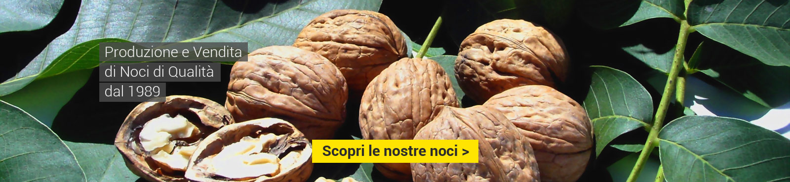 Produzione e vendita di noci di qualità