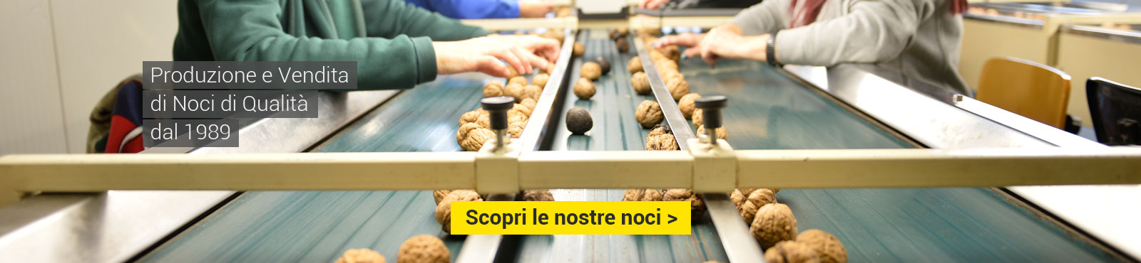 Produzione e vendita di noci di qualità