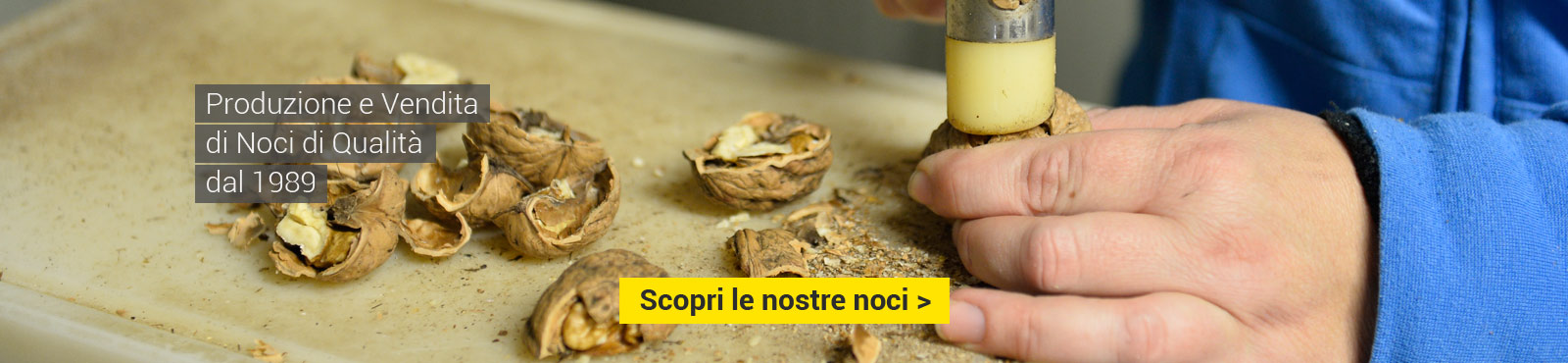 Produzione e vendita di noci di qualità